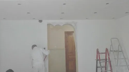 Revêtements À l'intérieur( placoplâtre