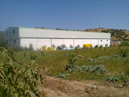 Vente Terrain Agricole Bouira Kadiria