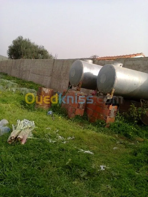 Vente Terrain Agricole Bouira Kadiria