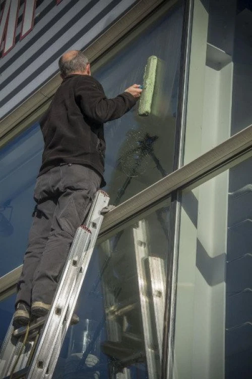 Nettoyage et jardinage