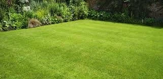 Entreprise d'espaces verts & nettoyage