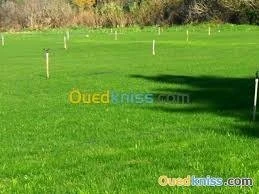 Entreprise d'espaces verts & nettoyage