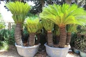 Entreprise d'espaces verts & nettoyage