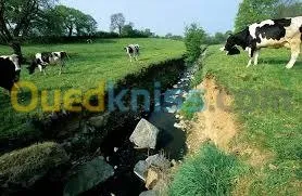 Travaux Public & Hydraulique