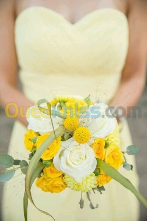 photographe- camerman 