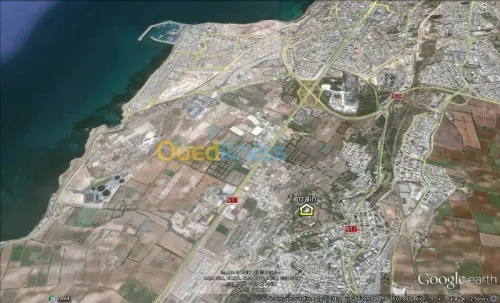 Vente Terrain Mostaganem Mezghrane