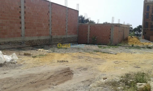Vente Terrain Mostaganem Mezghrane