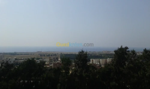 Vente Terrain Mostaganem Mezghrane