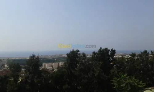 Vente Terrain Mostaganem Mezghrane