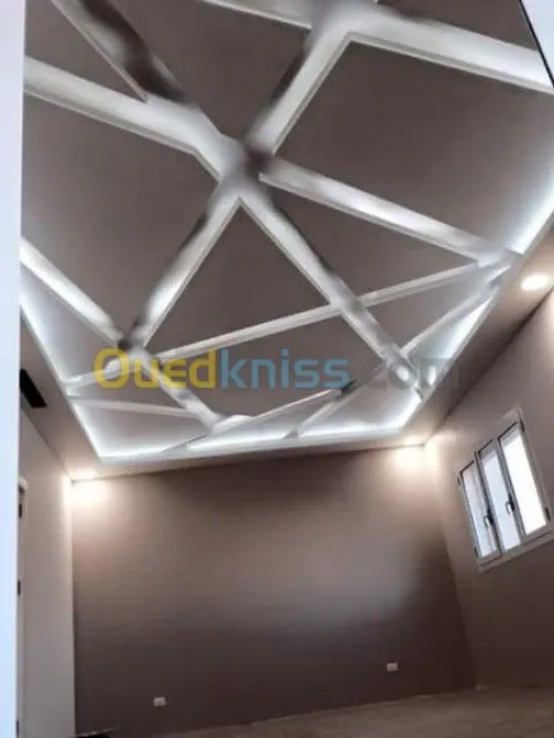 Placo platre,peiture moderne, pvc 