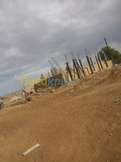 Vente Terrain Msila Ain khadra