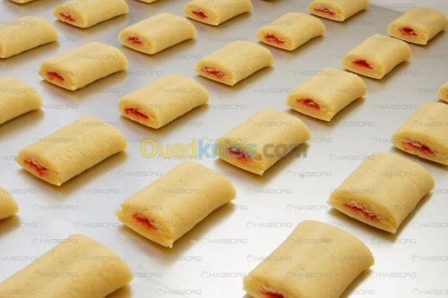 DRESSEUSE COEXTRUDEUSE DUOMAX 600