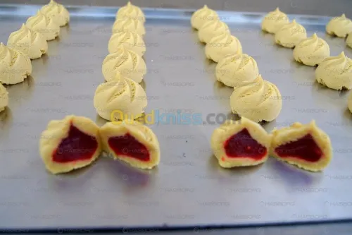 DRESSEUSE COEXTRUDEUSE DUOMAX 600