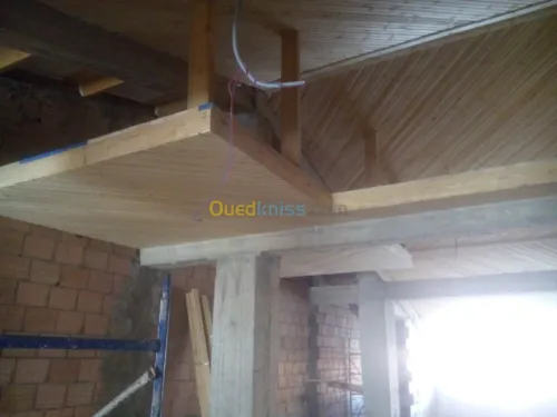 Charpente bois. Tuile .Toiture. Isolation thermique