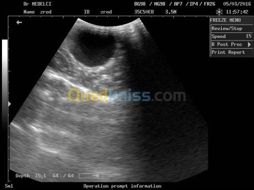 VETERINAIRE SPECIALISTE Dr MEDELCI