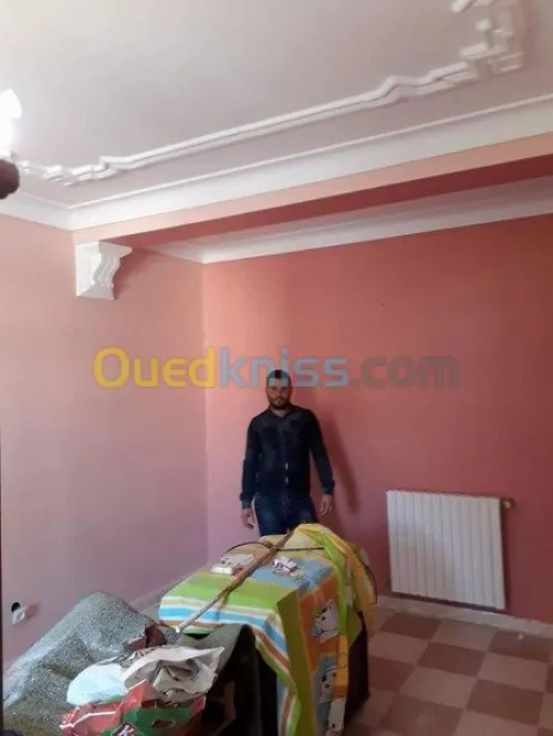  peintre professionne