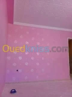  peintre professionne