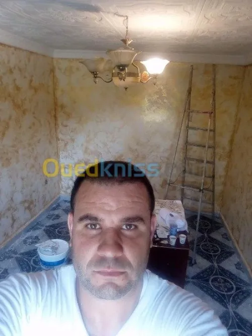  peintre professionne