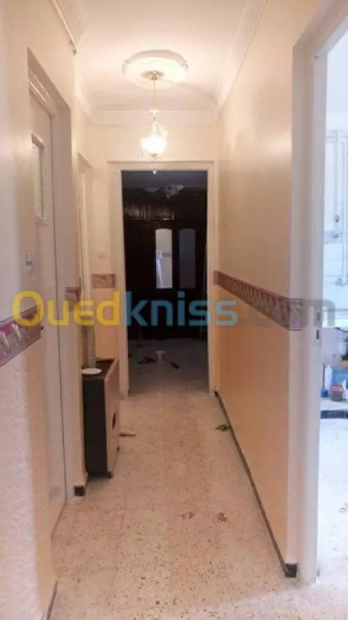  peintre professionne