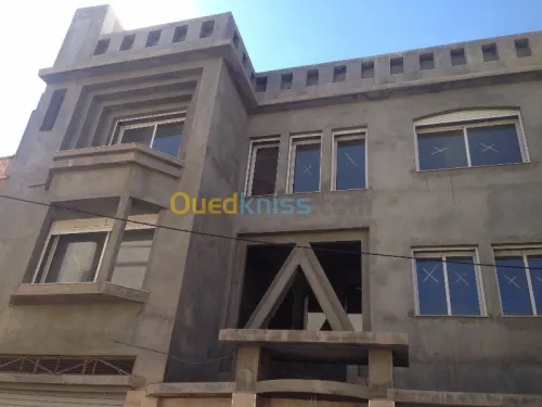 Ravalement des facades monocouche