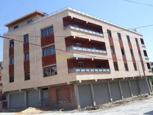 Ravalement des facades monocouche