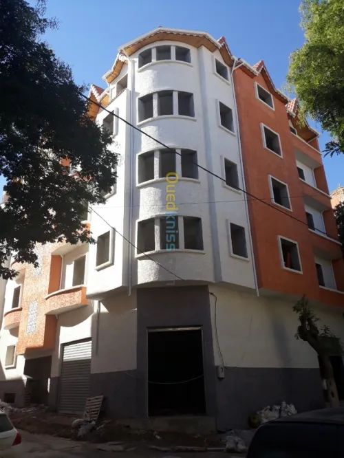 Ravalement des facades monocouche