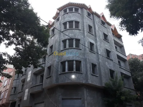 Ravalement des facades monocouche