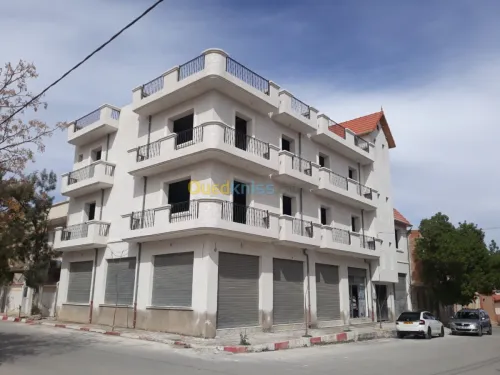 Ravalement des facades monocouche