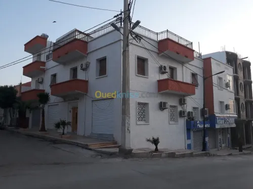 Ravalement des facades monocouche