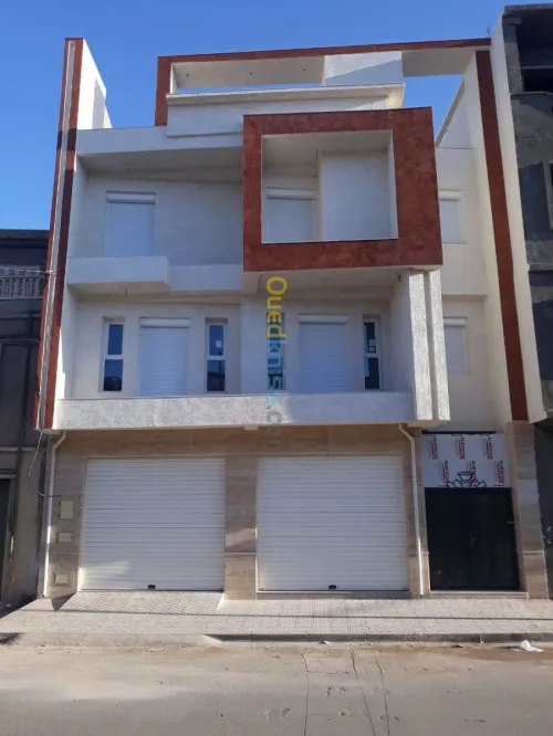 Ravalement des facades monocouche