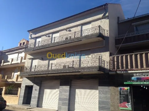 Ravalement des facades monocouche