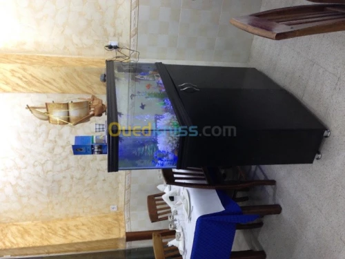 Fabrication Aquarium