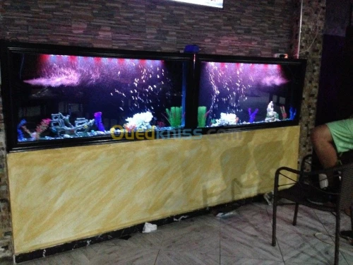 Fabrication Aquarium