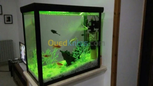 Fabrication Aquarium
