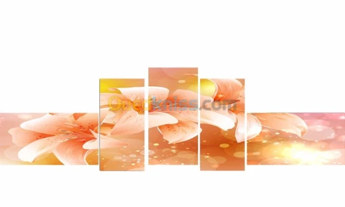 Tableaux décoratifs Moderne