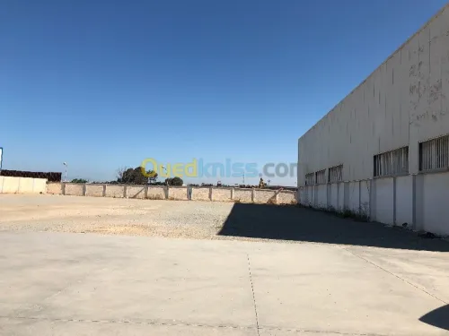 Location Terrain Alger Oued smar