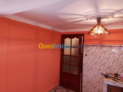 peinture decoration  et amenagement
