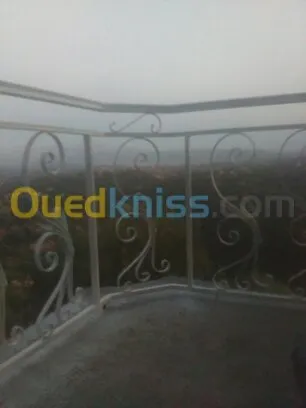   travaux de menuiserie métallique