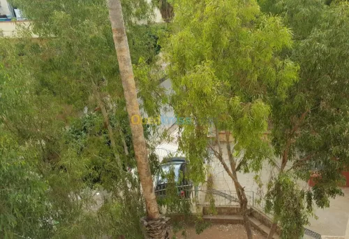 Vente Appartement Oran El ançor