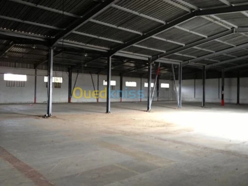 Location Hangar Alger Les eucalyptus