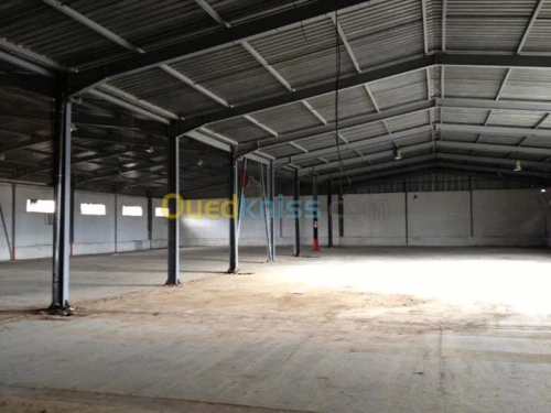 Location Hangar Alger Les eucalyptus