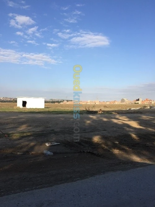 Vente Terrain Alger Tessala el merdja