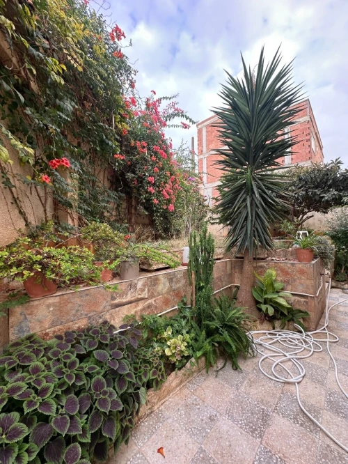 Vente Villa Alger Kouba