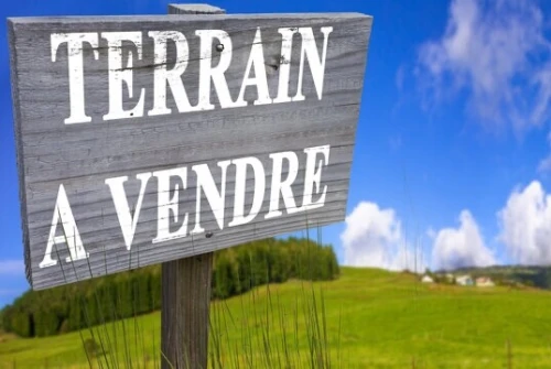 Vente Terrain Blida Chebli