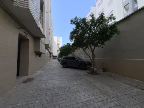 Vente Appartement F3 Alger Cheraga