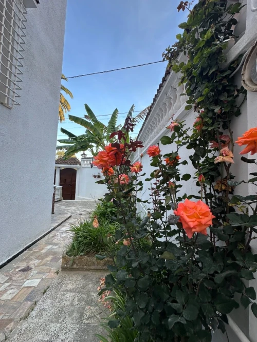 Location Villa Alger Saoula