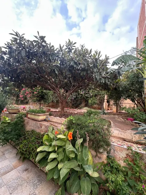 Vente Villa Alger Kouba