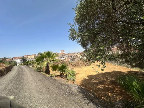 Location Terrain Alger Draria