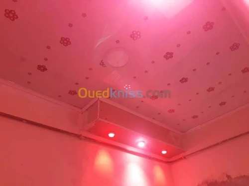 faux plafond pvc et placo