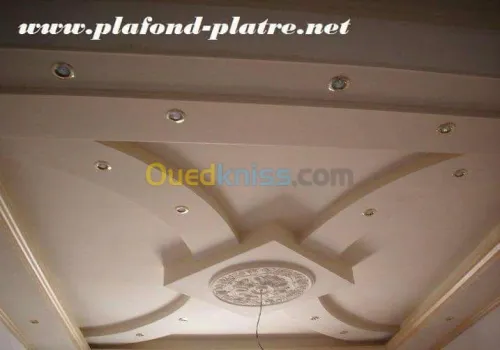 faux plafond pvc et placo